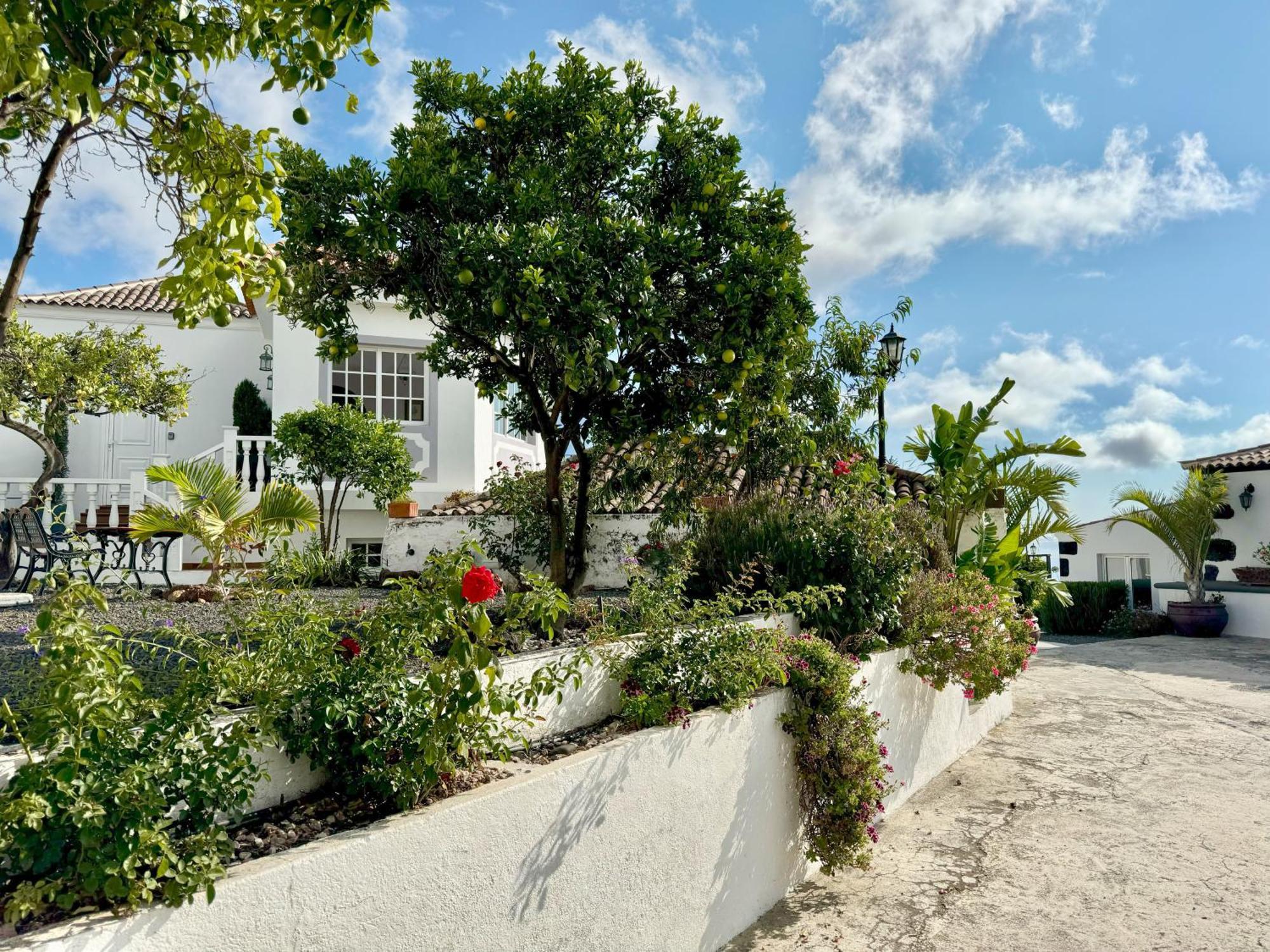 Loft Los Laureles El Paso Εξωτερικό φωτογραφία